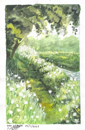 Green Meadows Green Meadows