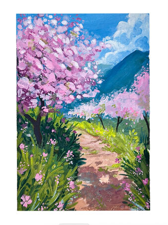 CherryBlossom; A Journey
